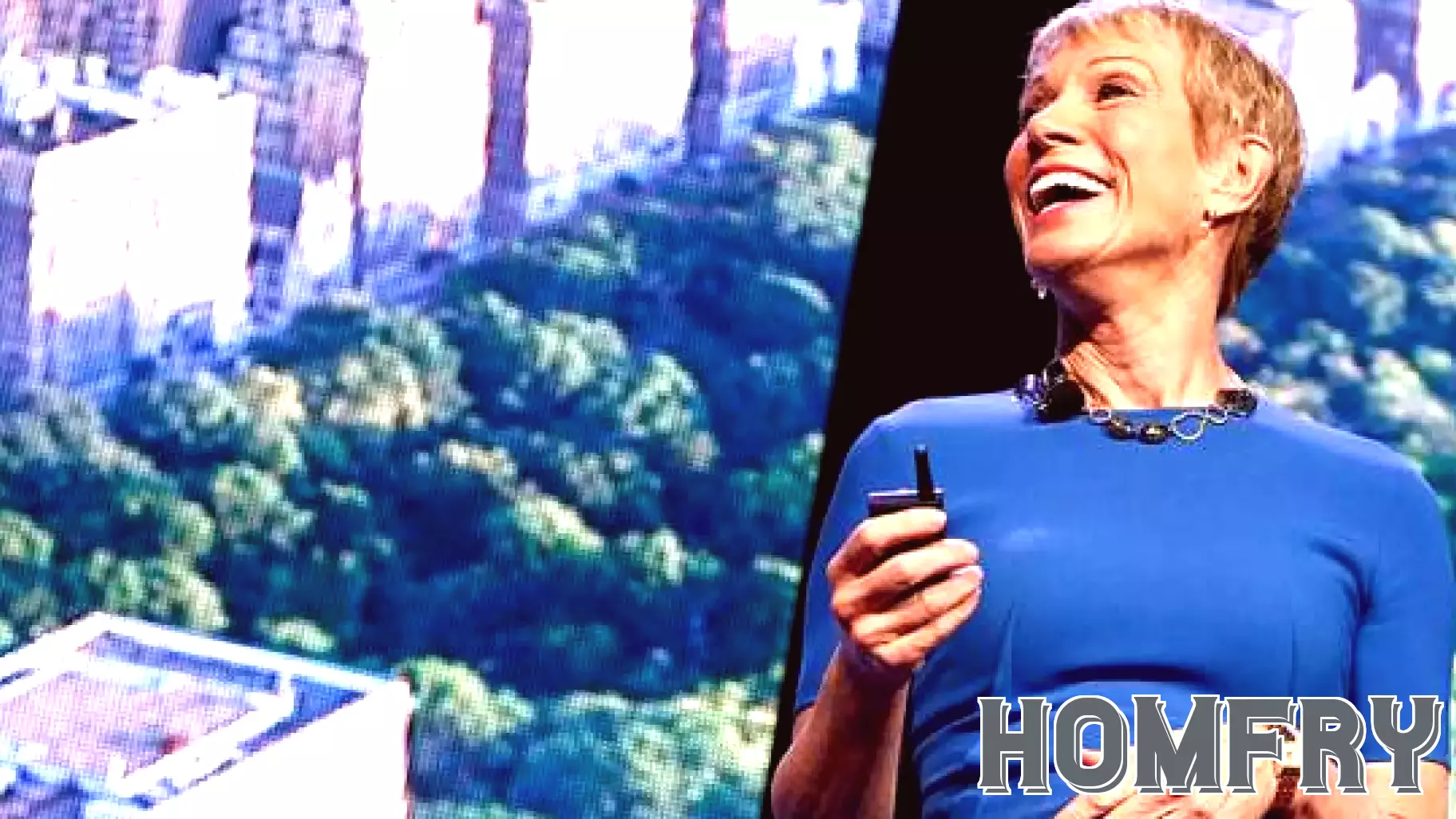 From Deliveries to Dream Homes: Barbara Corcoran's Journey to a $10 Million Penthouse